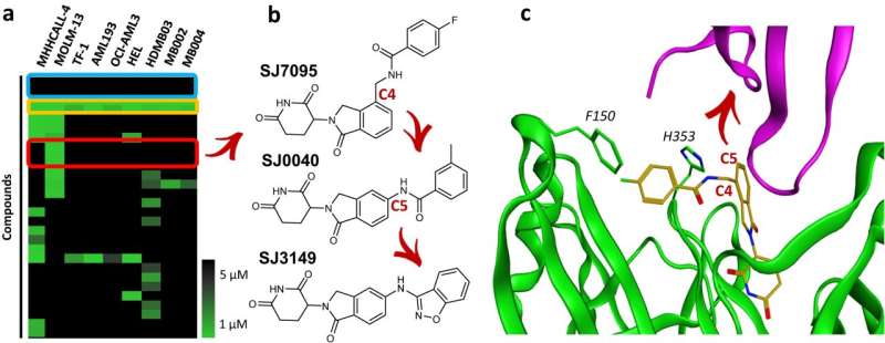 Molecular Glue: A Novel Platform for Cancer Drug Discovery
