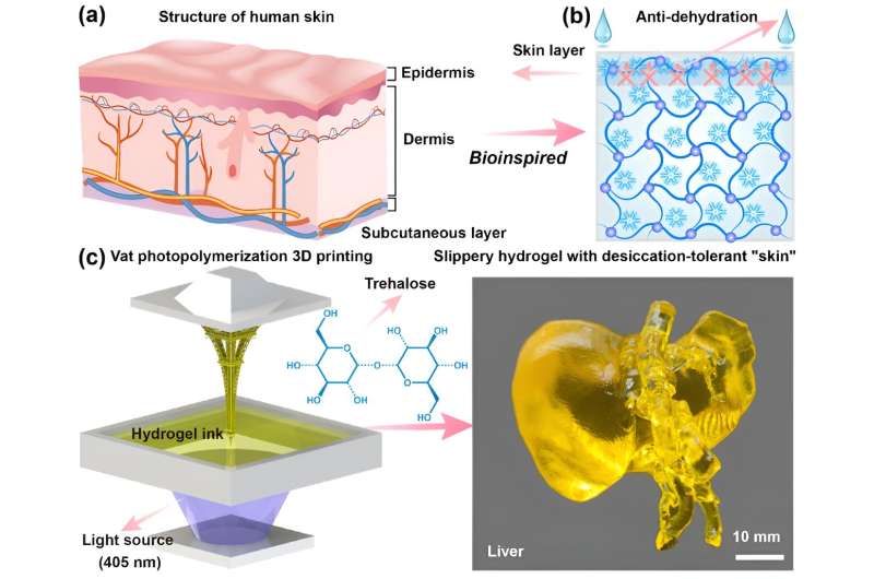 Bio-Inspired Hydrogel Mimics Skin for High-Precision Slippery Materials