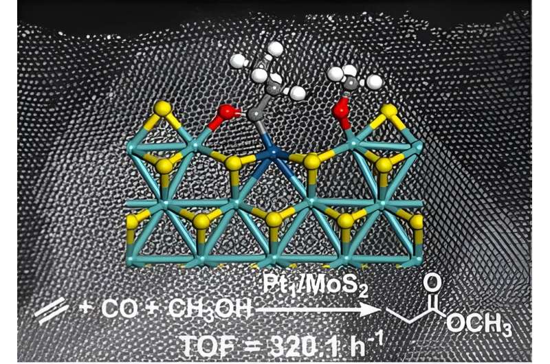 Single-Atom Catalyst Enables Efficient Ethylene Methoxycarbonylation