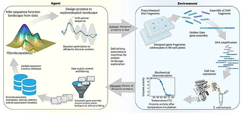 AI-Powered Automated Laboratory System Reengineers Enzymes