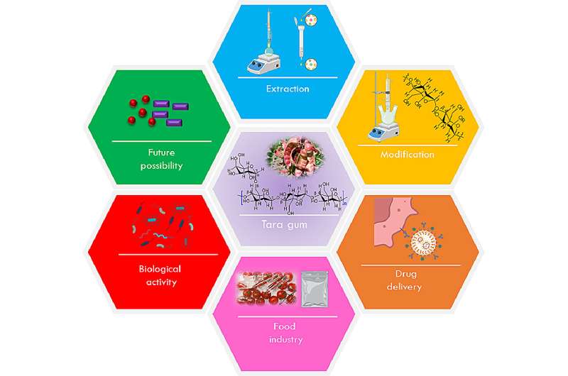 Tara Gum: A Sustainable Bio-Polymer for a Greener Future