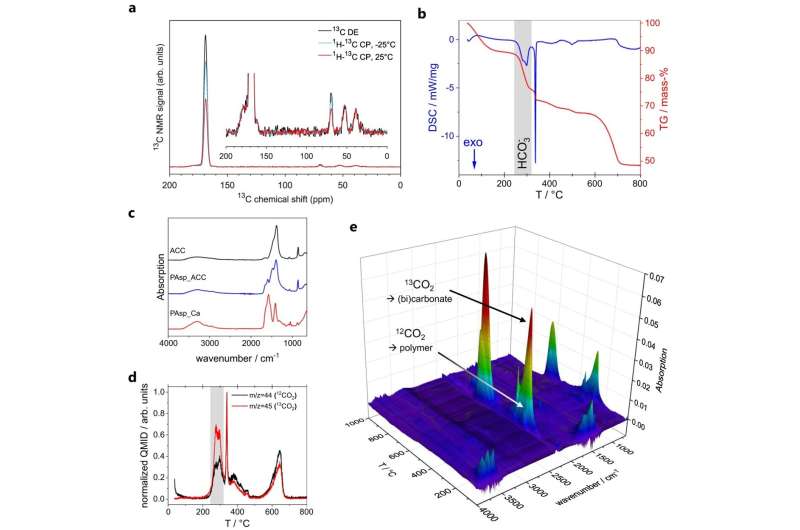 Biomineralization Breakthrough: New Insights into Carbonate Crystal Formation