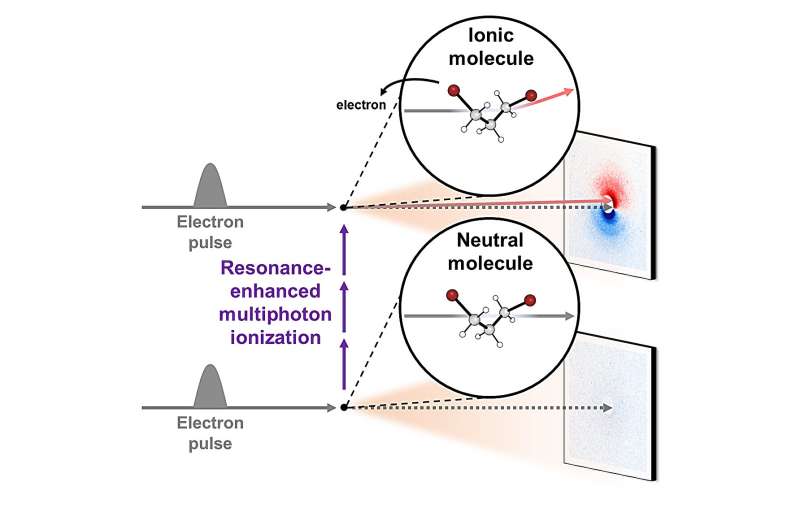 Real-Time Visualization of Molecular Ionization and Structural Changes