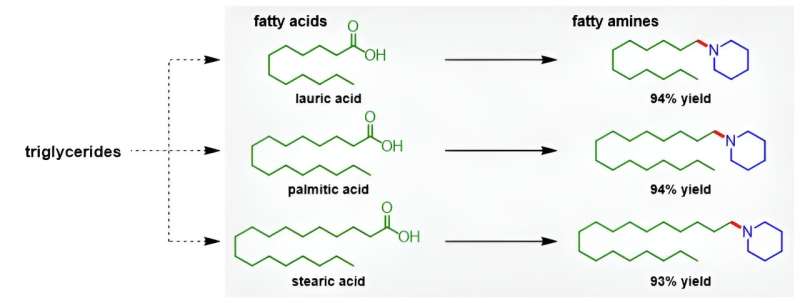 Sustainable Reductive Amination: A Greener Route to Alkylamines