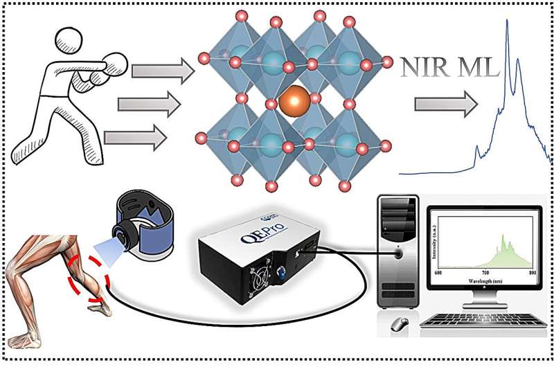 Self-Recoverable NIR Mechanoluminescence in Cr³⁺ Perovskites for Biomechanical Imaging