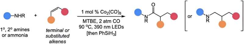 Sustainable Amide Synthesis: New Catalytic Process from Renewable Feedstocks
