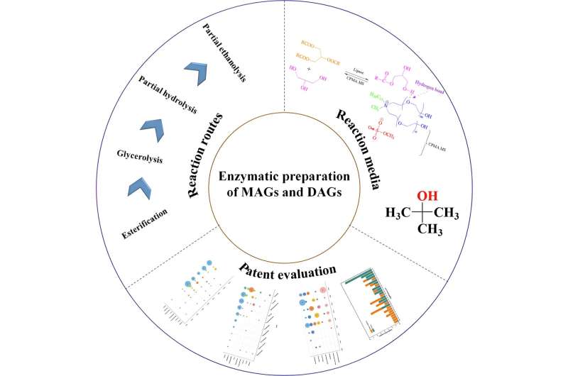 Enzymatic Synthesis of Mono- and Diacylglycerols for Food Applications
