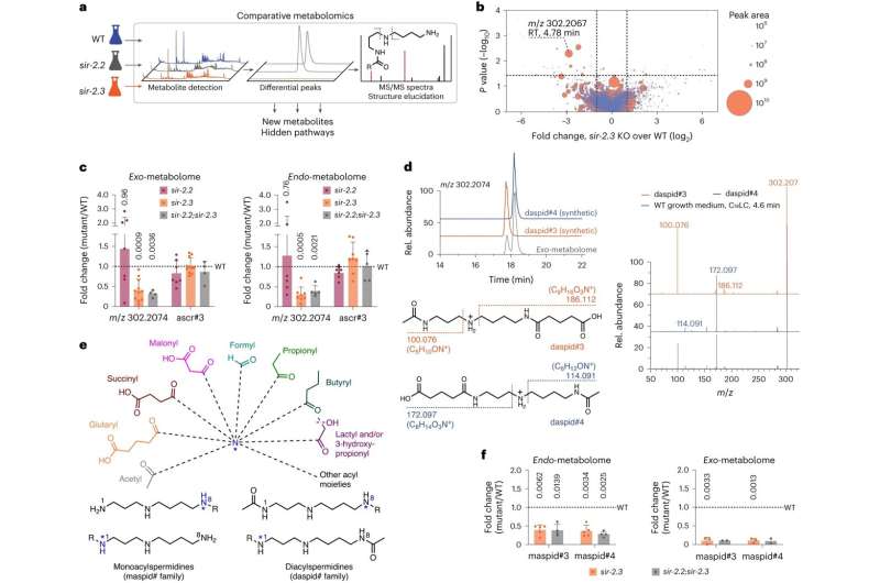 Metabolomics Reveals Aging & Disease Pathways in C. elegans