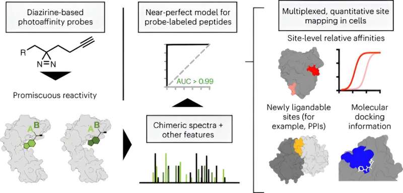 Advanced Protein Mapping Reveals Novel Drug Targets