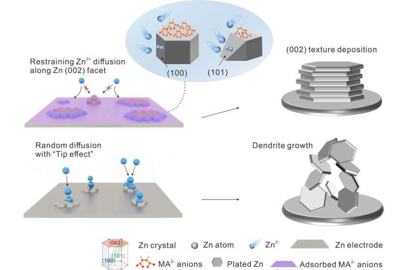 New Electrolyte Strategy Enhances Stability in Zinc-Ion Batteries