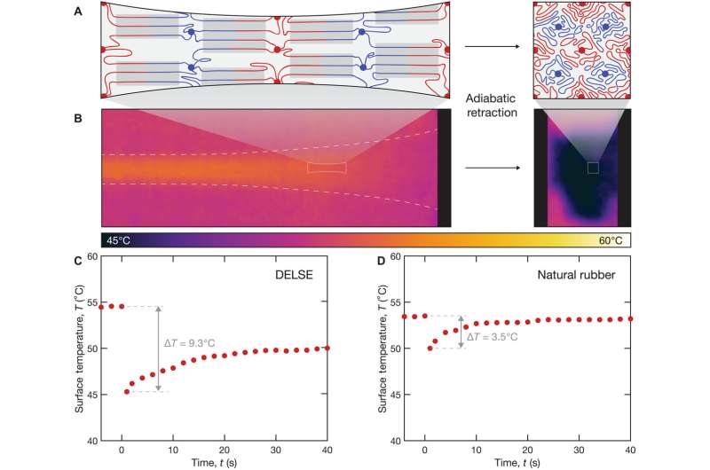 Ultrahigh Strain-Induced Crystallization in Futuristic Elastomers