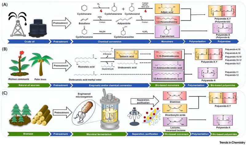 Sustainable Polyamide Production: Eco-Friendly Strategies & Innovations