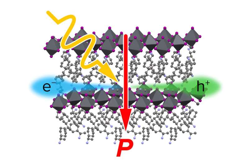 Understanding the Photovoltaic Effect in Perovskites: A Research Overview