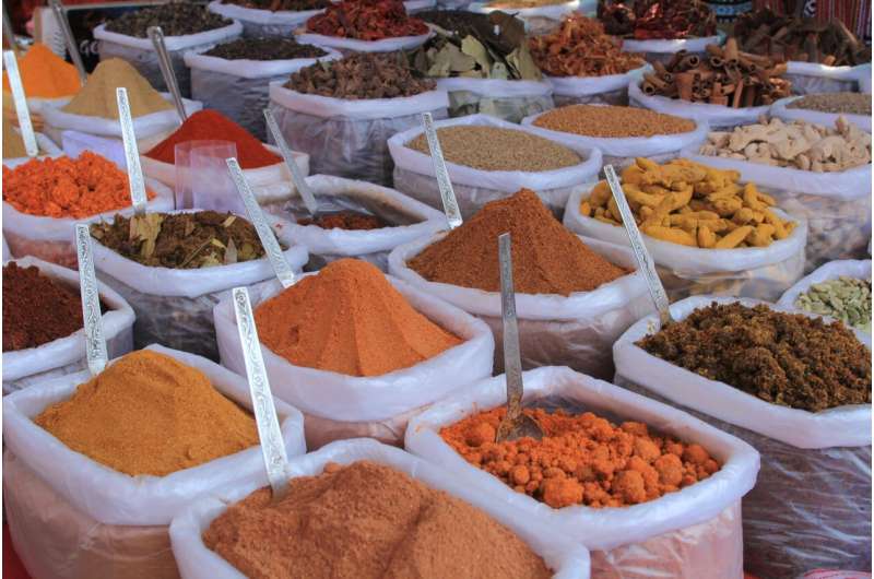 Precise Spice Extract Analysis: Linking Light Measurement to Chemical Composition