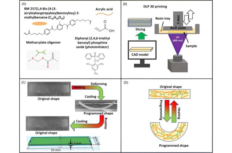 Shape-Memory Polymers in 4D Printing: Digital Light Processing