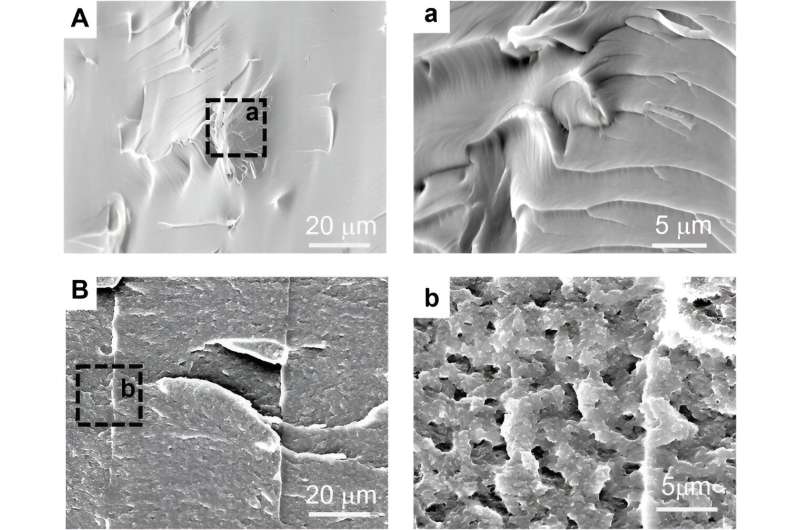Shape-Memory Polymers in 4D Printing: Digital Light Processing