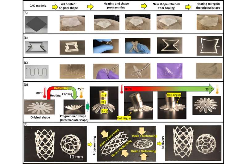 Shape-Memory Polymers in 4D Printing: Digital Light Processing