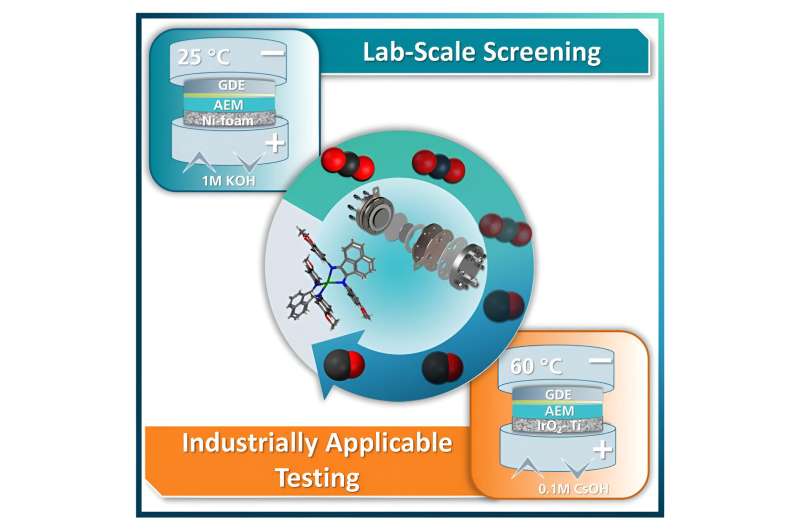 New Catalyst System Enables Efficient CO₂ Conversion | RUB Research