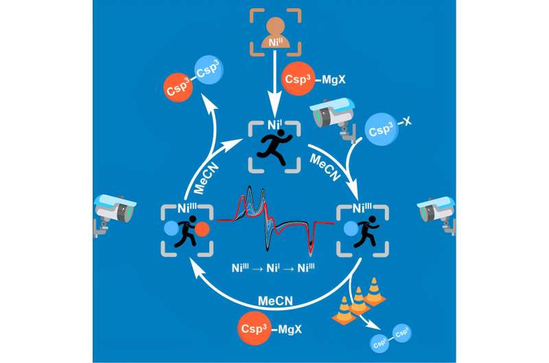 Goldilocks System Enhances Nickel Catalysis for Sustainable Chemistry