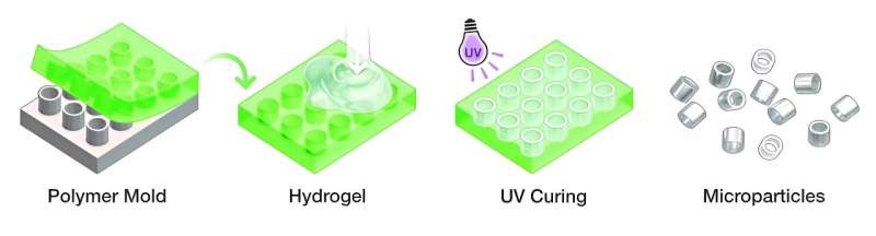 Shape-Shifting Microparticles Revolutionize MRI Imaging: Cost-Effective Solution