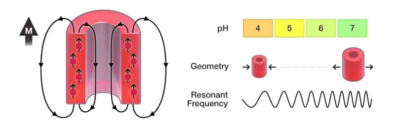 Shape-Shifting Microparticles Revolutionize MRI Imaging: Cost-Effective Solution