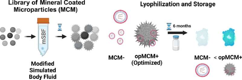 Mineral Coatings for Stable mRNA Therapies: A Breakthrough for Global Accessibility