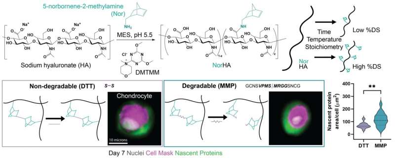 Novel Synthesis of Hyaluronic Acid Polymers for Biomedical Applications