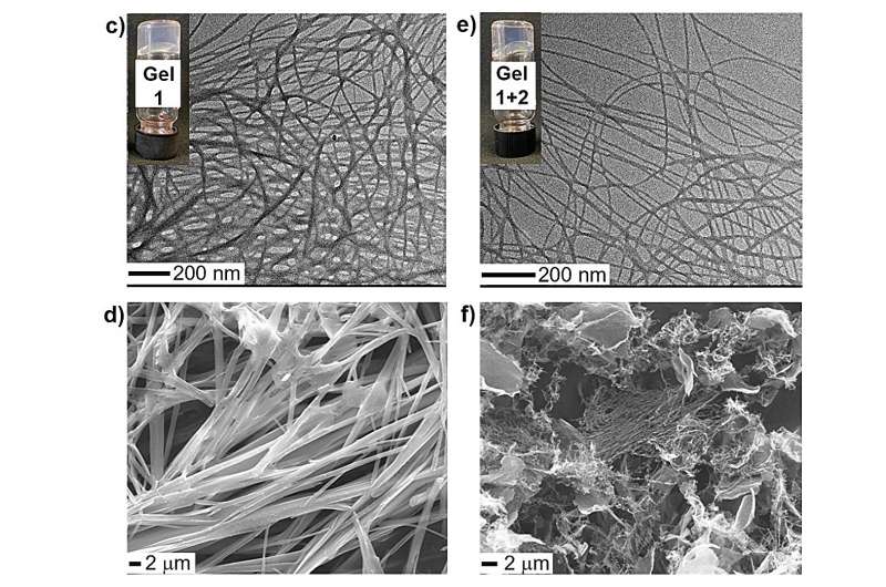 Hydrogel Breakthrough: New Amino Acid Transforms into Gel in Water