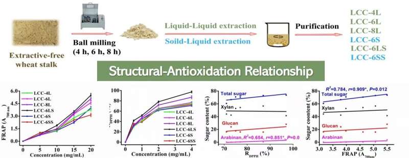 Water-Soluble Lignin-Carbohydrate Complexes: Powerful Antioxidant Properties