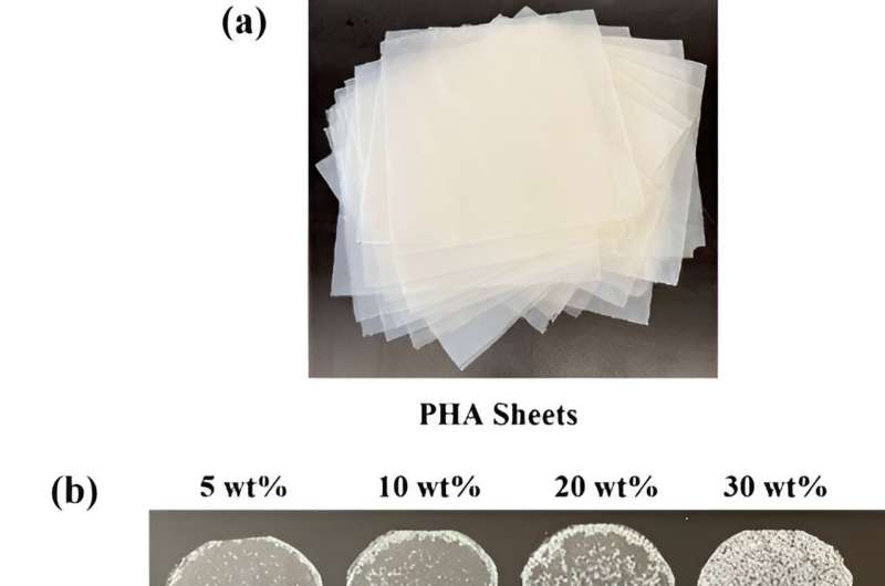 Biodegradable Sandwich Composite for Sustainable Building Envelopes