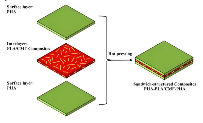 Biodegradable Sandwich Composite for Sustainable Building Envelopes