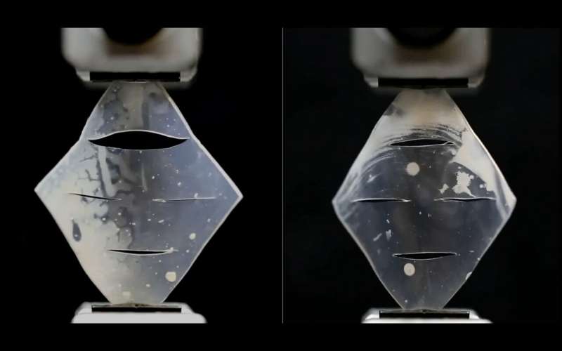 Crack-Resistant Rubber: New Material Extends Durability