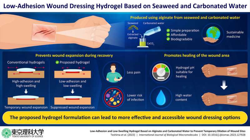 Seaweed-Based Hydrogel for Enhanced Wound Healing: A Novel Sustainable Approach