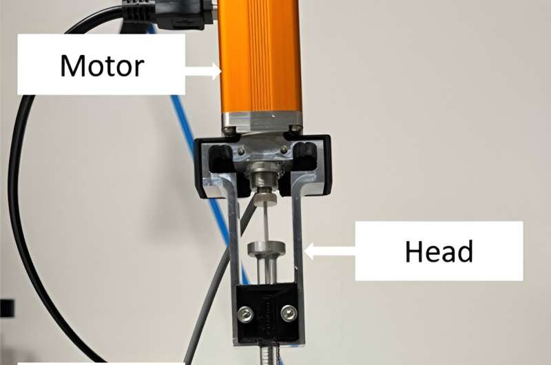 3D-Printed Cellulose Structures for Advanced Membranes
