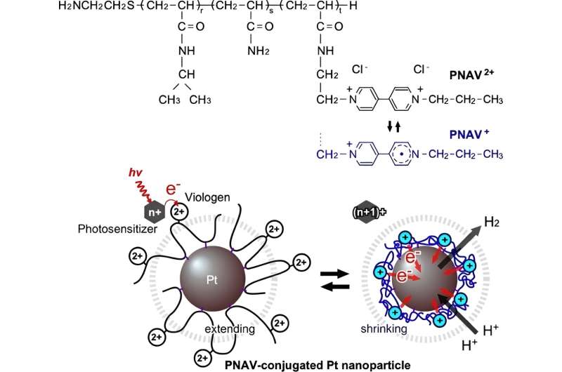 Advanced Nanocatalysts for Enhanced Electron Transfer | JAIST Research