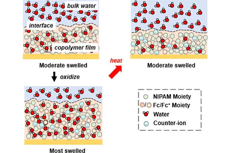 Electrochemical Ion Selectivity: New Pathway Discovered by UIUC Researchers