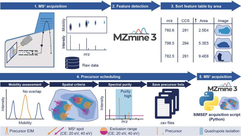 Revolutionary Bioimaging Method Accelerates Tissue Chemical Identification