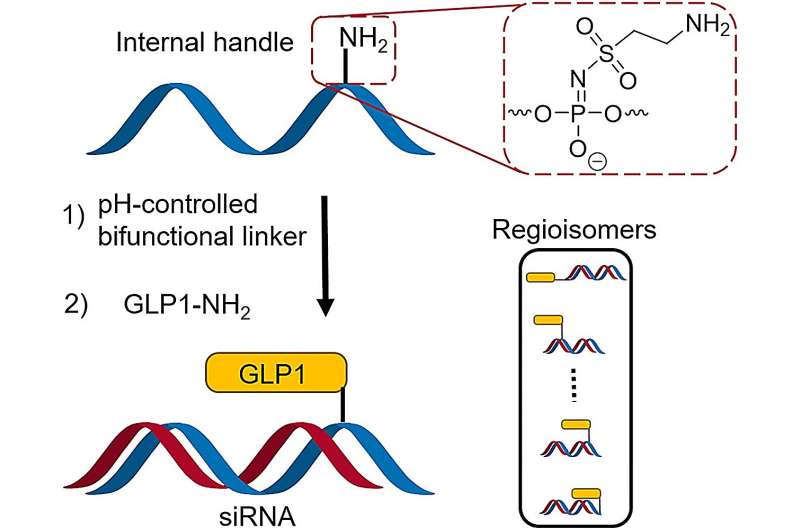 Targeted RNA Therapeutics: A Novel Chemical Approach