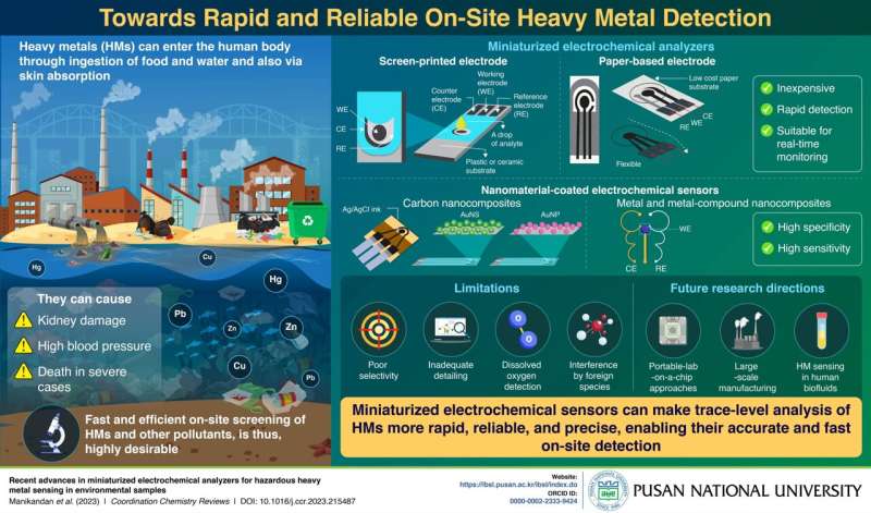 Miniaturized Electrochemical Sensors for Rapid Heavy Metal Detection | [Organization Name]