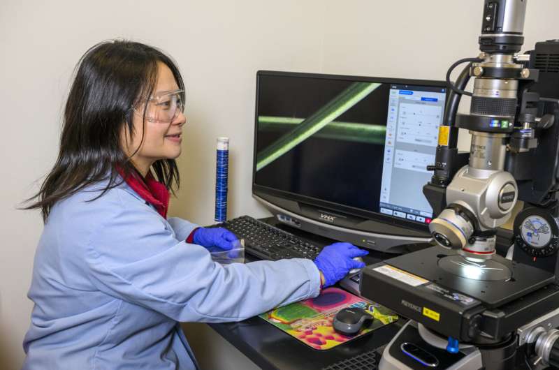 Conductive Cotton Fiber: Revolutionizing Smart Textiles