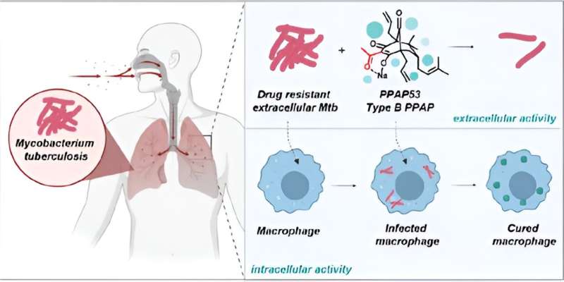 New Compounds Show Potential Against Tuberculosis & Neurodegenerative Diseases