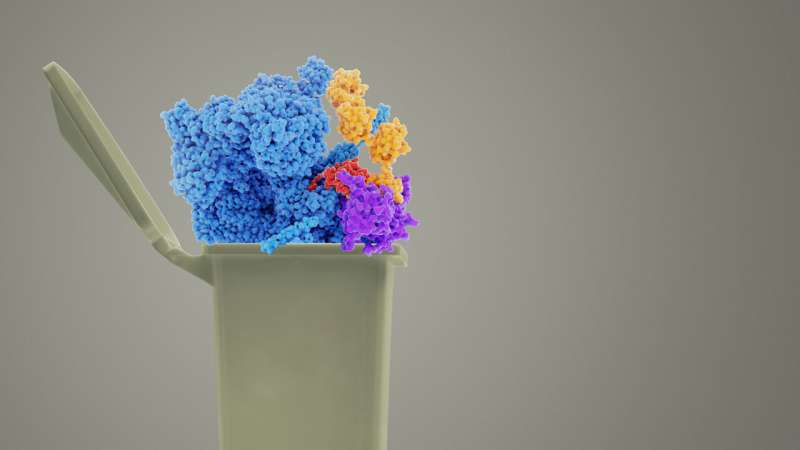 PROTACs: A Novel Approach to Protein Degradation for Disease Treatment