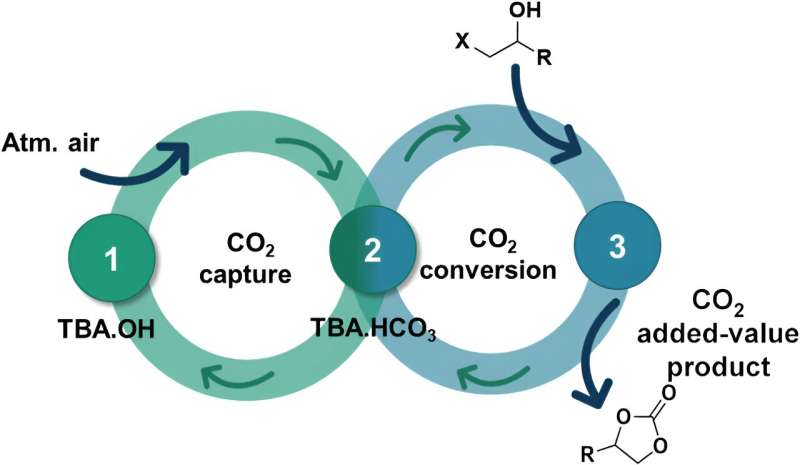 Biomass-Derived Cyclic Carbonates: A Novel Approach to CO2 Utilization