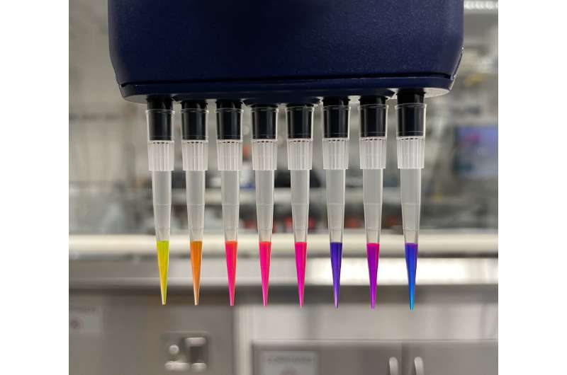 New Rhodamine Fluorescent Dyes Developed at Janelia Research Campus