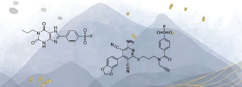 Caffeine-Based Molecules Advance Medical Research