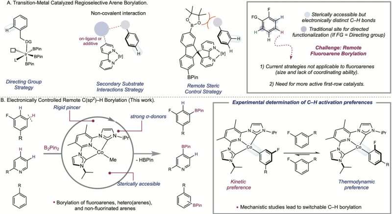 Cobalt-Catalyzed C-H Functionalization for Advanced Chemical Synthesis