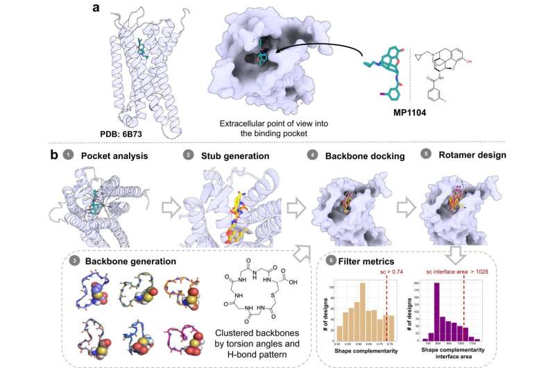Novel Pain Medication: Computational Drug Design for Safer Therapeutics