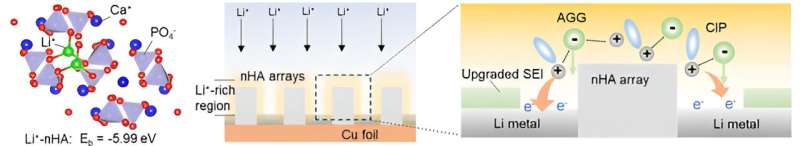 Advanced Micro-Arrays Enhance Lithium-Metal Battery Performance