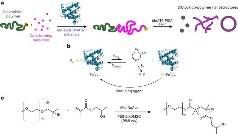 BioPISA Reaction: Synthesis of Amphiphilic Block Copolymers for Artificial Cells