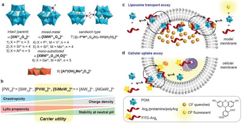 Polyoxometalates (POMs) as Novel Drug Delivery Systems